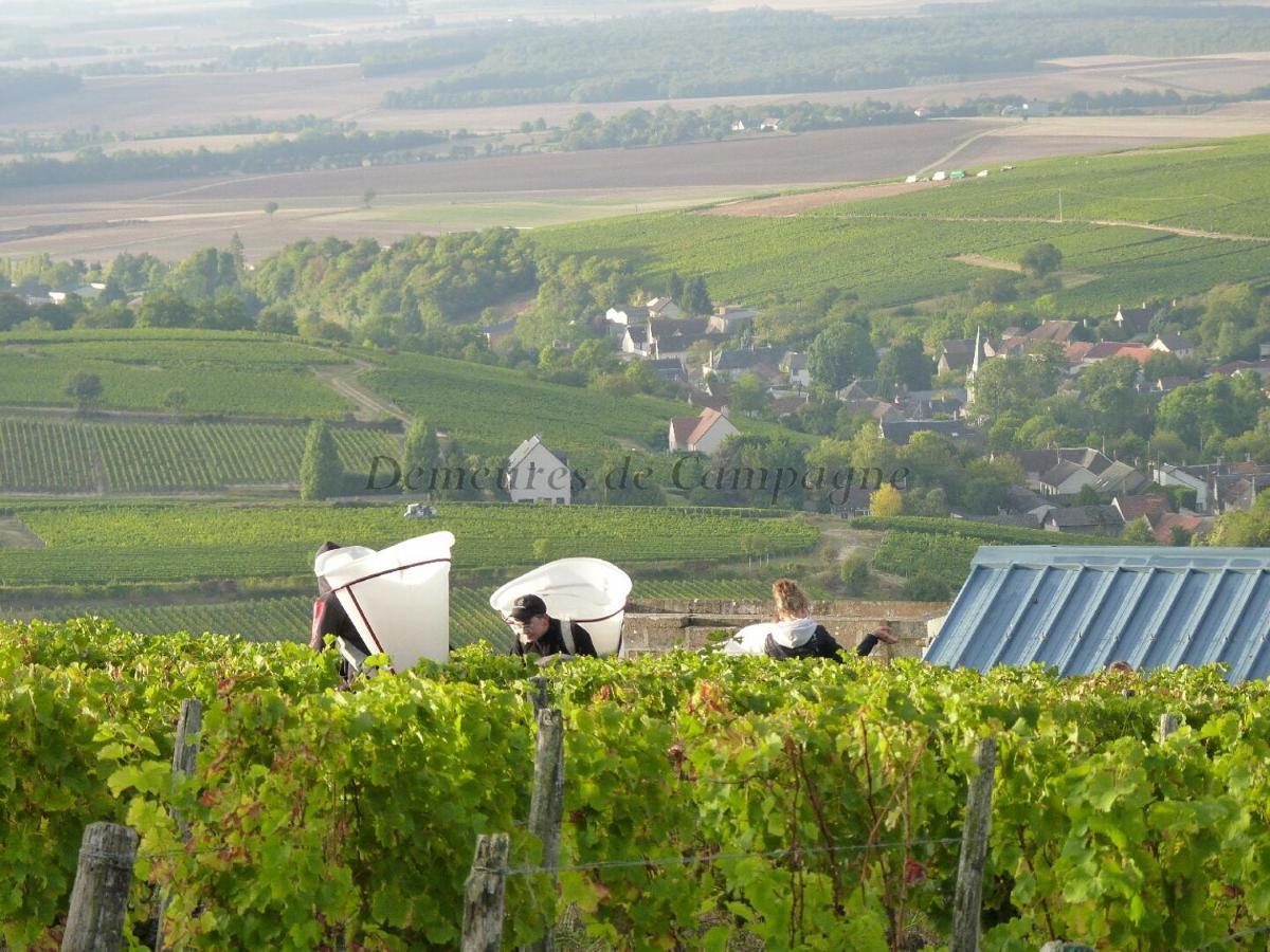 Villa Maison Les Fossiles Sancerre Exterior foto